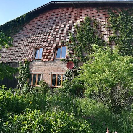 Ferien In Der Scheune Dettmannsdorf Екстер'єр фото