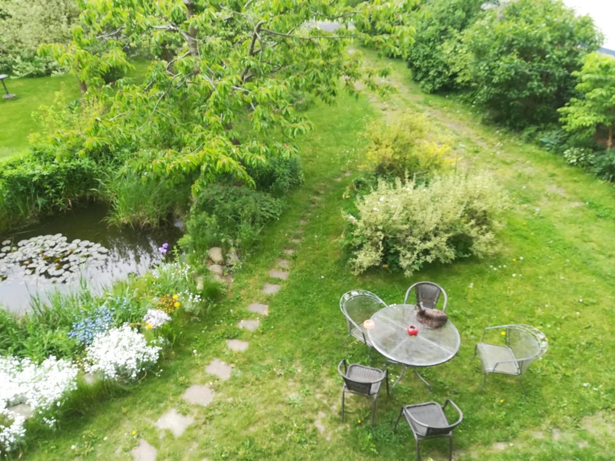 Ferien In Der Scheune Dettmannsdorf Екстер'єр фото